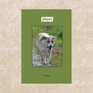 Notizbuch Labrador Beagle Mischung quadratisches Hundebild